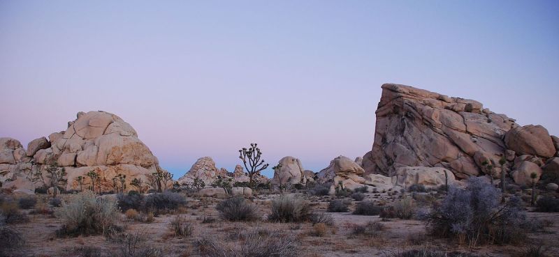 View of Joshua Tree National Park rugged terrain
